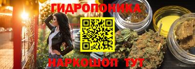 гашик Краснодар