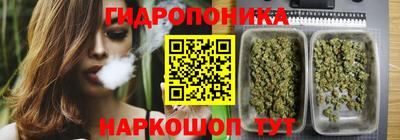 a pvp Краснокаменск