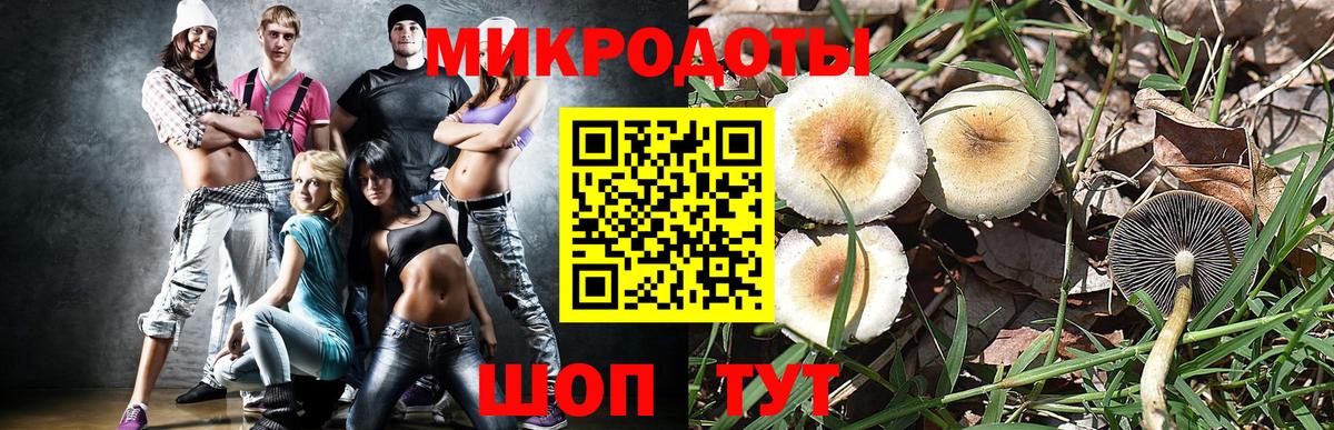 Галлюциногенные грибы GOLDEN TEACHER Ковров