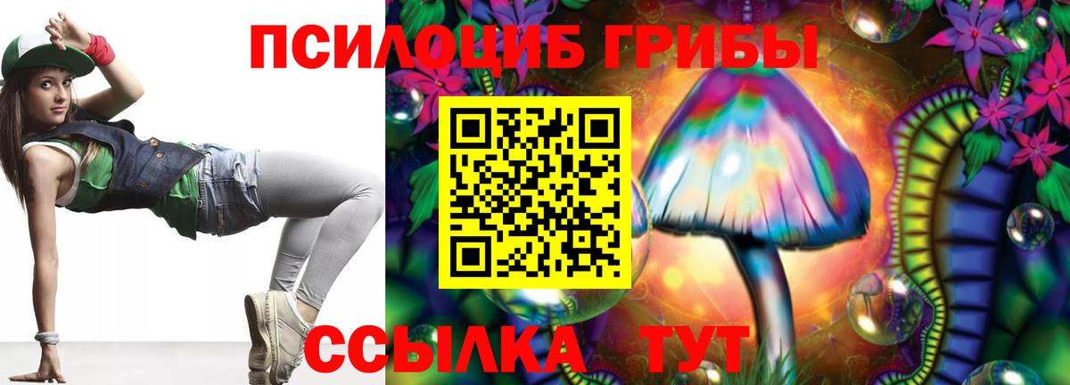 Псилоцибиновые грибы MAGIC MUSHROOMS  Вход с VPN  Ковров 